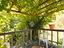 Immagine 15