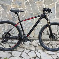 MTB bicicletta Bianchi Grizzly 29.3