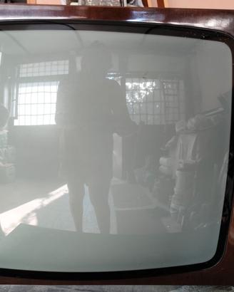 Brionvega  Lunar VR 24" televisore