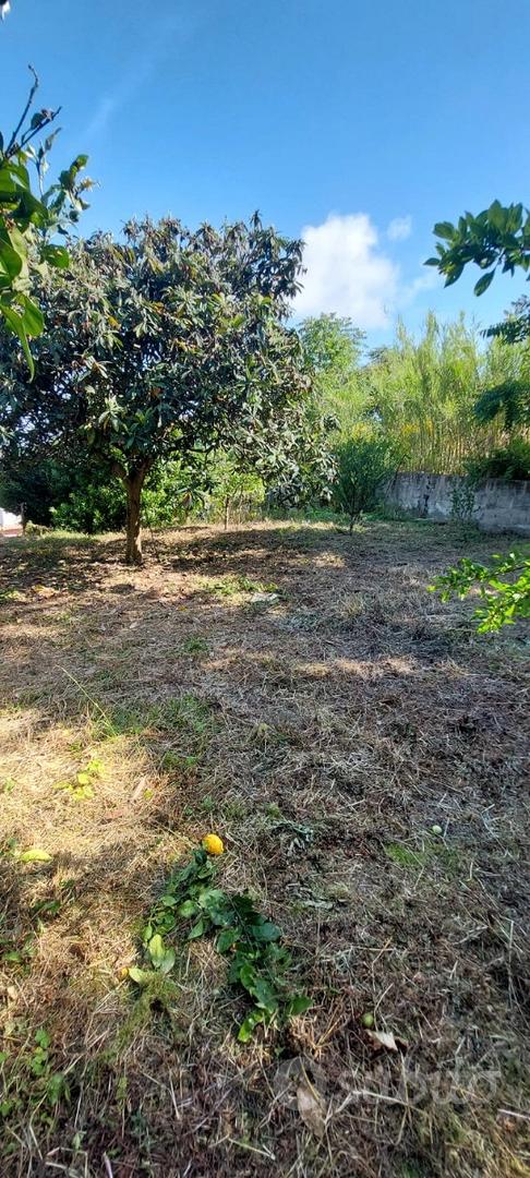 Terreno Ischia - Via Acquedotto - Altro