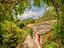 Immagine 30