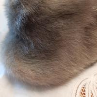 cappello pelliccia visone grigio