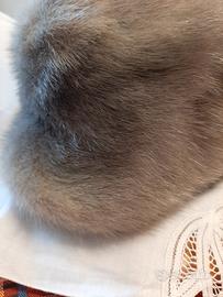 cappello pelliccia visone grigio