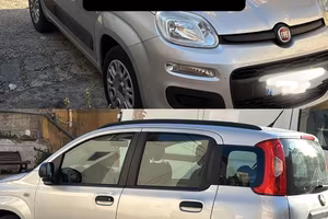 Panda