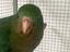 Immagine 2