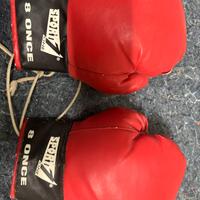 Guantoni da Boxe sport one