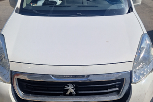 Pegeout partner tepee