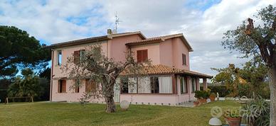 Casa Indipendente Grosseto [Cod. rif 3201592VRG]