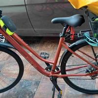 BICICLETTA  MOD, RIVERSIDE TREKKING