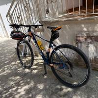 Bici MTB 29