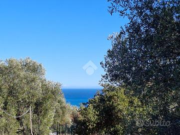 TER. AGRICOLO A DIANO MARINA