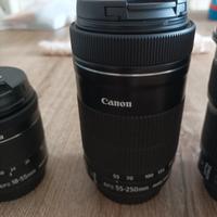 canon 55-250/f4-5.6 ef-s is stm