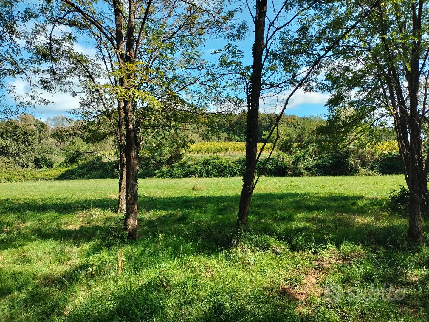 Terreno in San Lorenzo Isontino (Go) - Vista 4