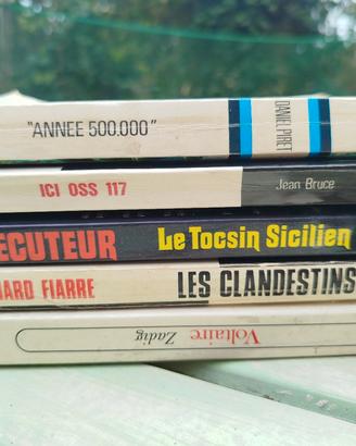 Lotto libri in francese 