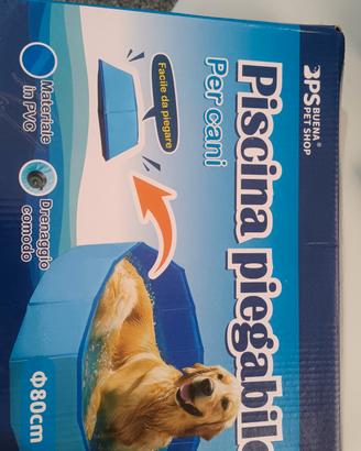 piscina per cani