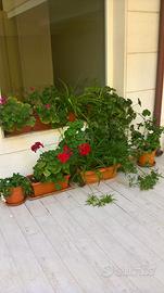 Alghero Appartamento centralissimo