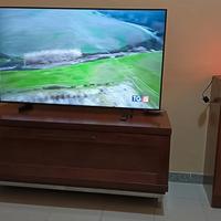 mobile  TV legno vero !