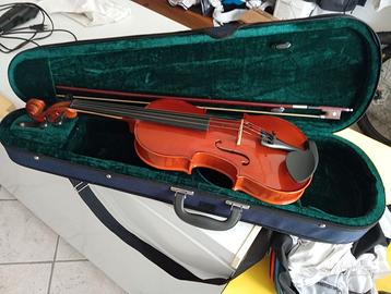Violino