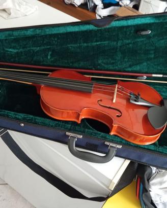 Violino