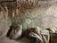 Immagine 27