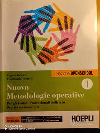 libro di metodologie operative 