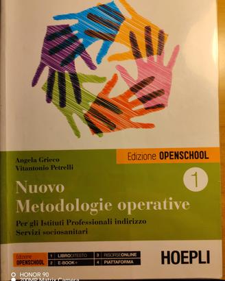 libro di metodologie operative 