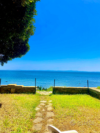 Stintino sardegna casa sul mare