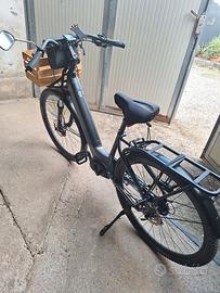  E-bike Olympia Magnum 