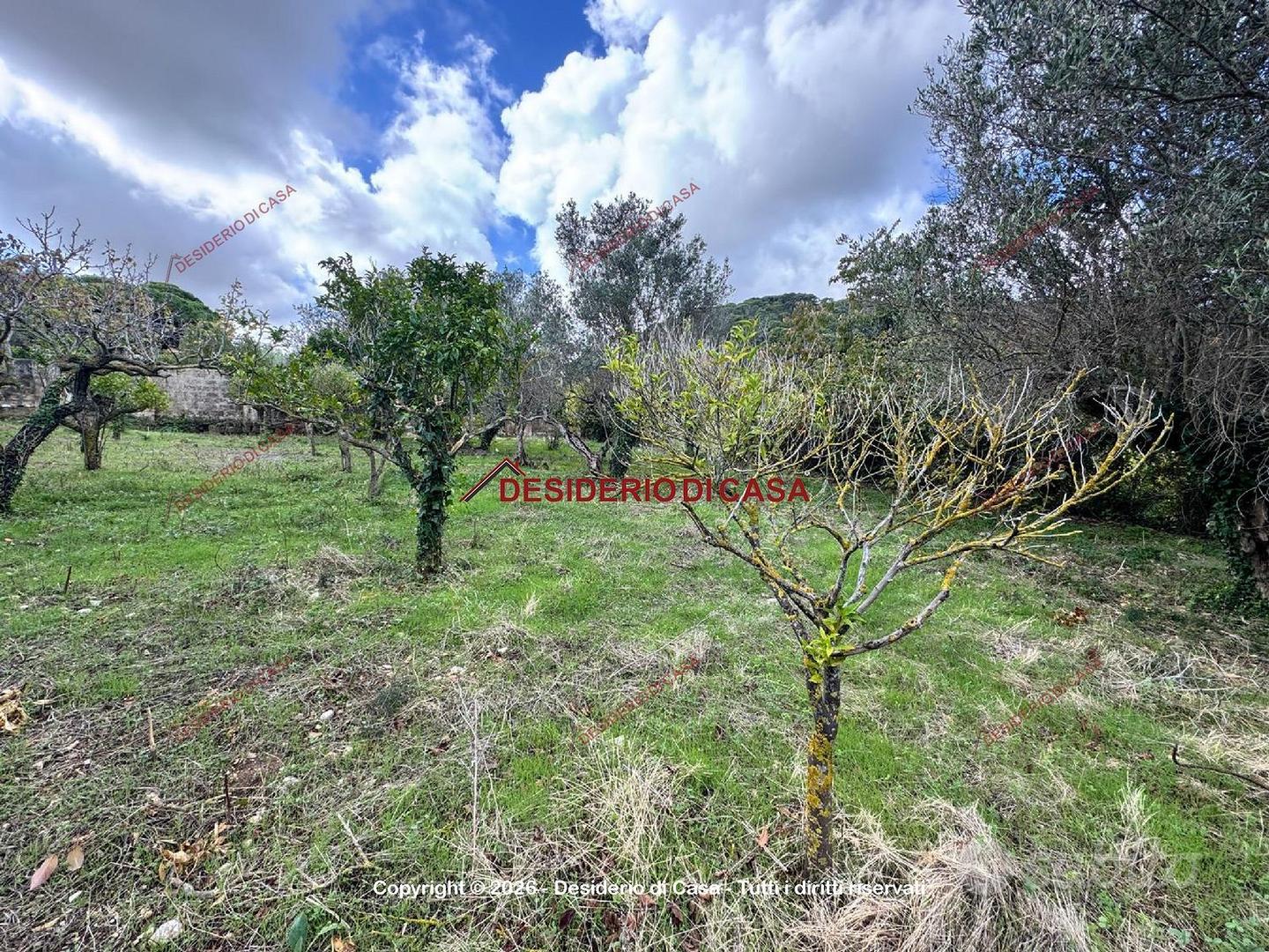Casa – Valderice, Baglio Cappottelli - Vista 3