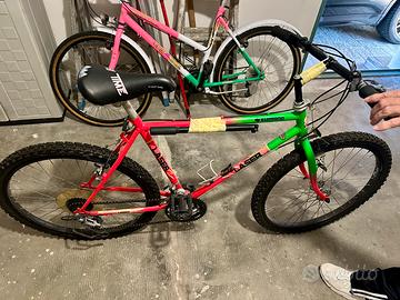 2 Biciclette per ragazzo/ragazza (mountainbike)