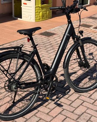 Bici Tenways CGO800S Elettrica