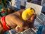 Immagine 1
