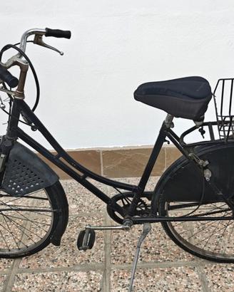 bici olandese 