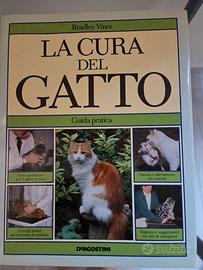 La cura del gatto 