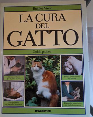 La cura del gatto 