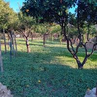 Terreno agricolo