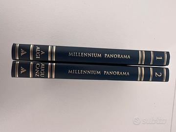 Millennium panorama