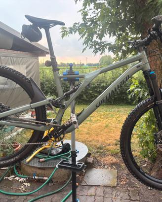 Mountainbike specialized