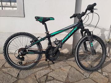 mtb 20 montana spidy 