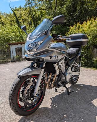 Suzuki Bandit S GSF 650 con 14000km + accessori