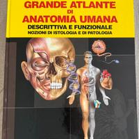 Atlante anatomia umano