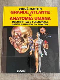 Atlante anatomia umano