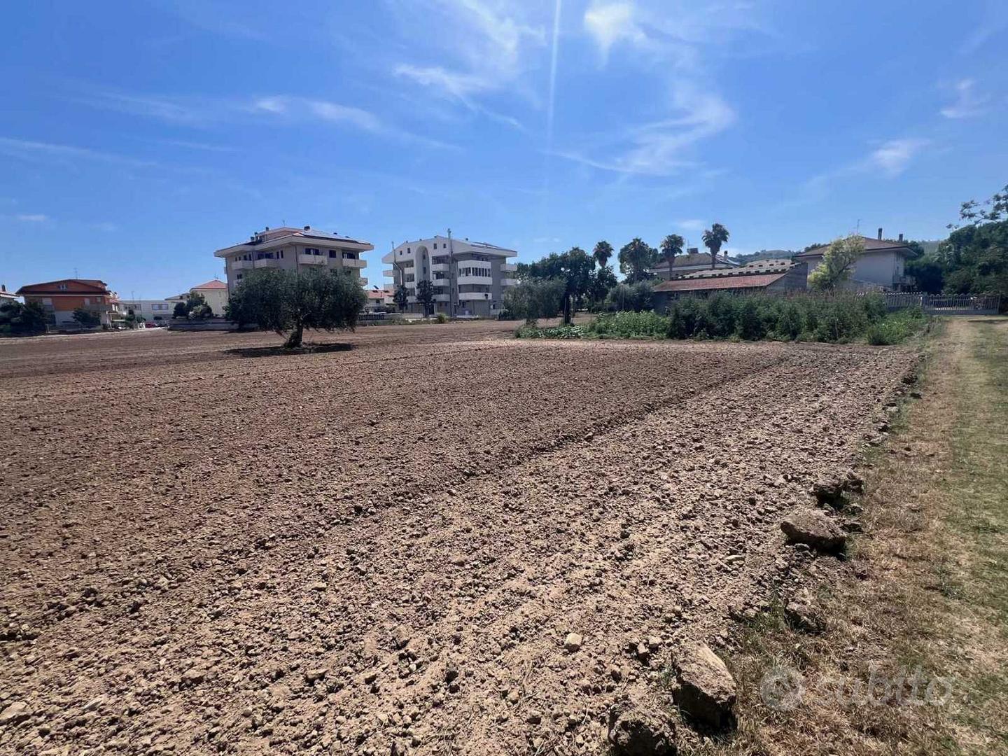 Terreni agricoli - Vista 3
