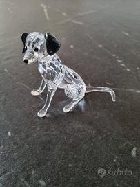 Dalmata Swarovski