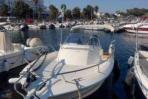 White shark 228 con motore Suzuki 300cv nuovo