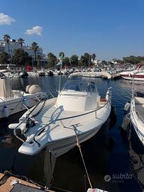 White shark 228 con motore Suzuki 300cv nuovo