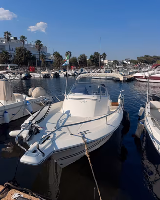 White shark 228 con motore Suzuki 300cv nuovo