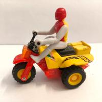 Trike Kawasaki 250 - ATV a 3 Ruote con Pilota 