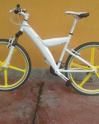 BICI SPECIAL , CERCHI A RAZZE