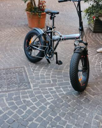 bicicletta e letrica 